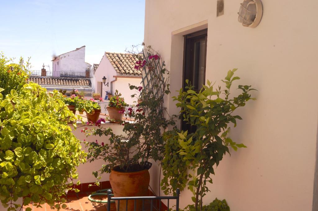 Apartmán Penthouse Puerta De La Juderia Córdoba Exteriér fotografie